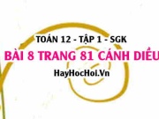 Bài 8 trang 81 Toán 12 tập 1 Cánh Diều